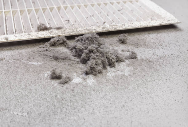 Best HVAC System Cleaning  in Wildwood, MO
